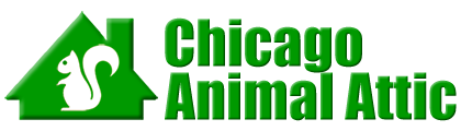 Chicago Animal Attic